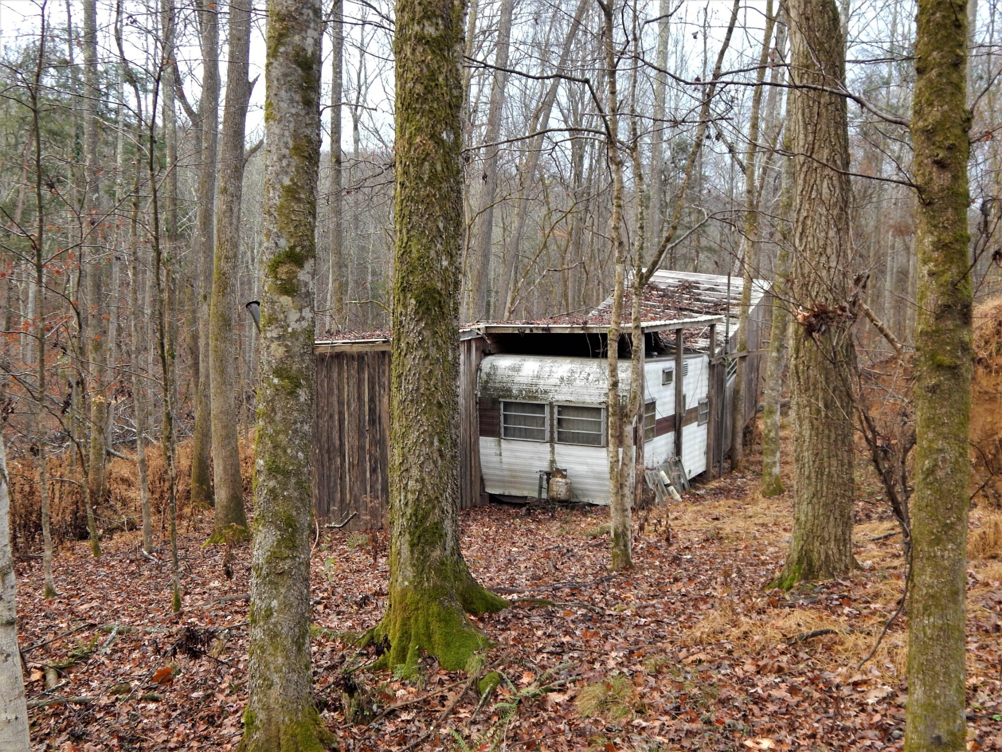 0 Warren Hollow Road Clifton, TN 38425 - Photo 8 of 30 Gallery Image 8