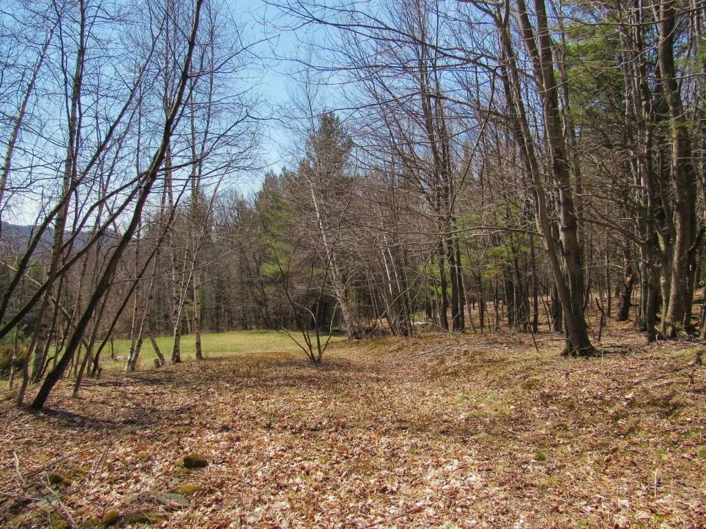 7 Nashville Road Jericho, VT 05465 - Photo 8 of 24
