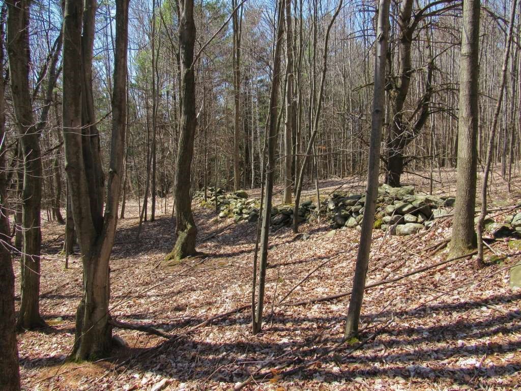 7 Nashville Road Jericho, VT 05465 - Photo 9 of 24