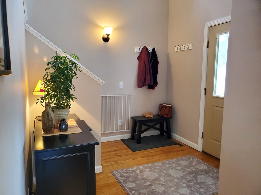 61 Windemere Street Springfield, MA 01104 - Photo 23 of 42 a living room with furniture and a potted plant