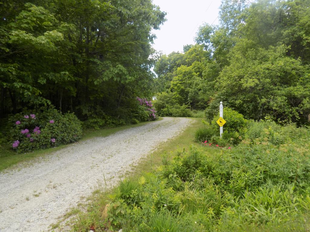 391 Lempster Mountain Road Washington, NH 03280 - Photo 16 of 23