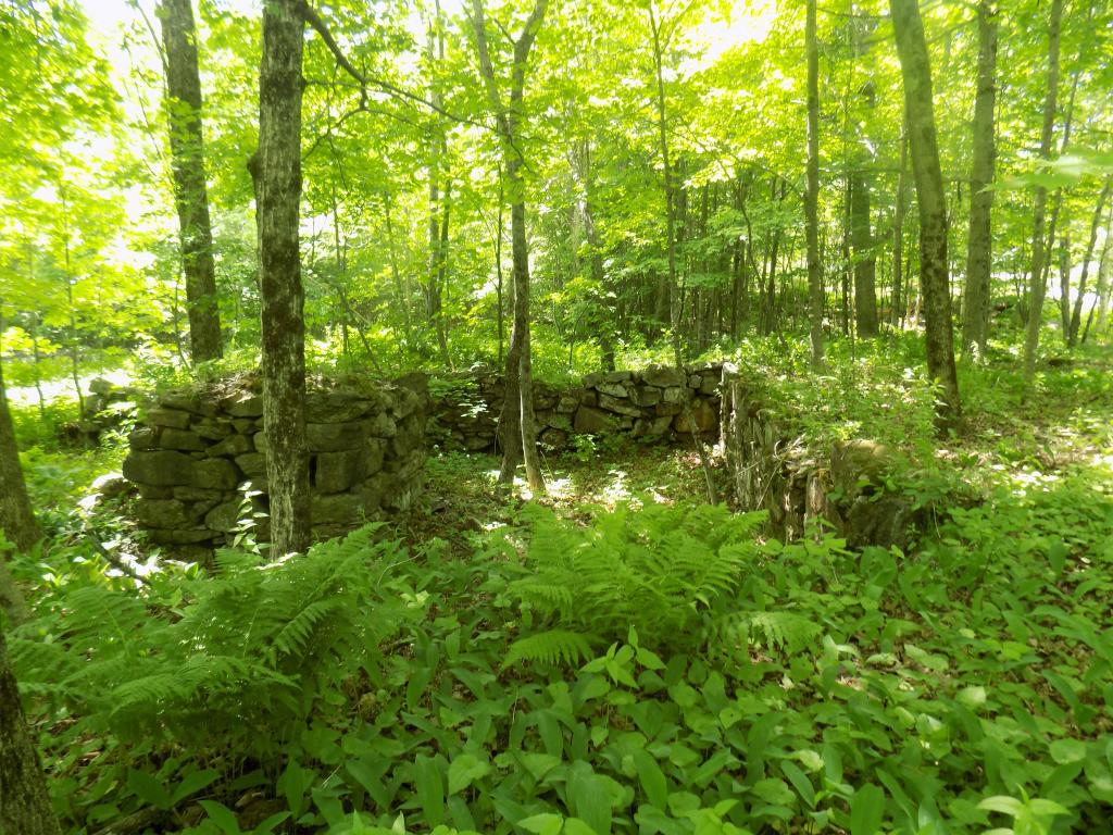 391 Lempster Mountain Road Washington, NH 03280 - Photo 18 of 23