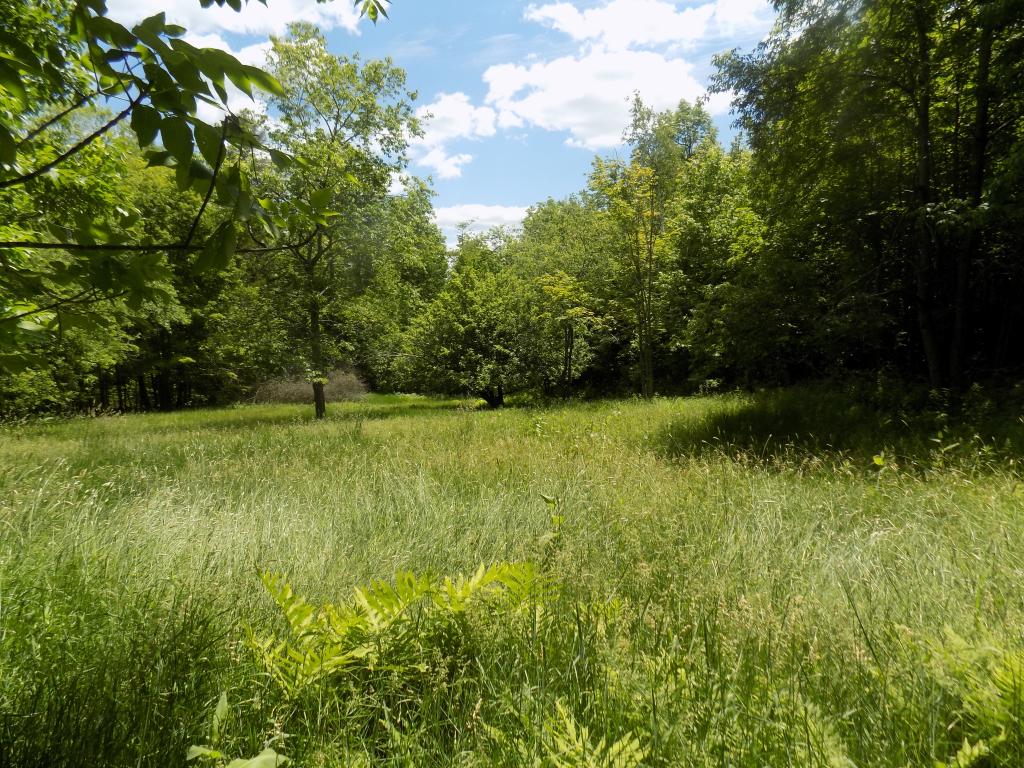 391 Lempster Mountain Road Washington, NH 03280 - Photo 19 of 23