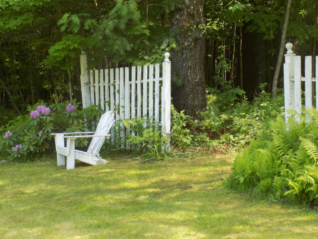 391 Lempster Mountain Road Washington, NH 03280 - Photo 21 of 23