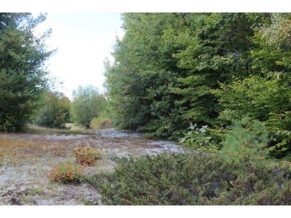 Lot 2 Green Mountain Road Effingham, NH 03882 - Photo 4 of 11