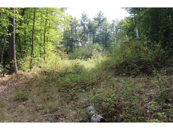 Lot 2 Green Mountain Road Effingham, NH 03882 - Photo 10 of 11