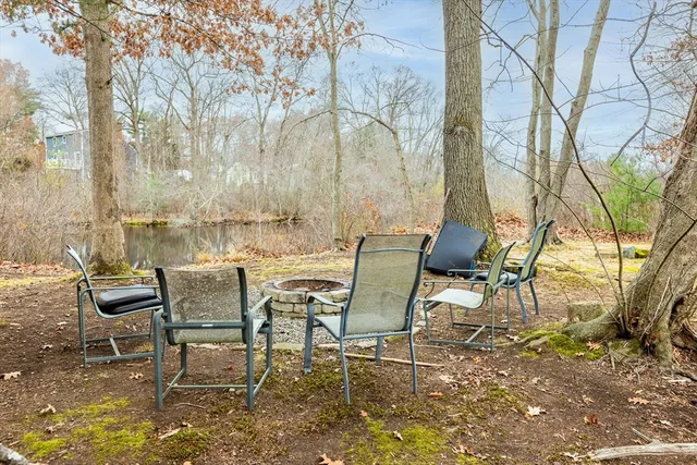 a view of a yard with trees