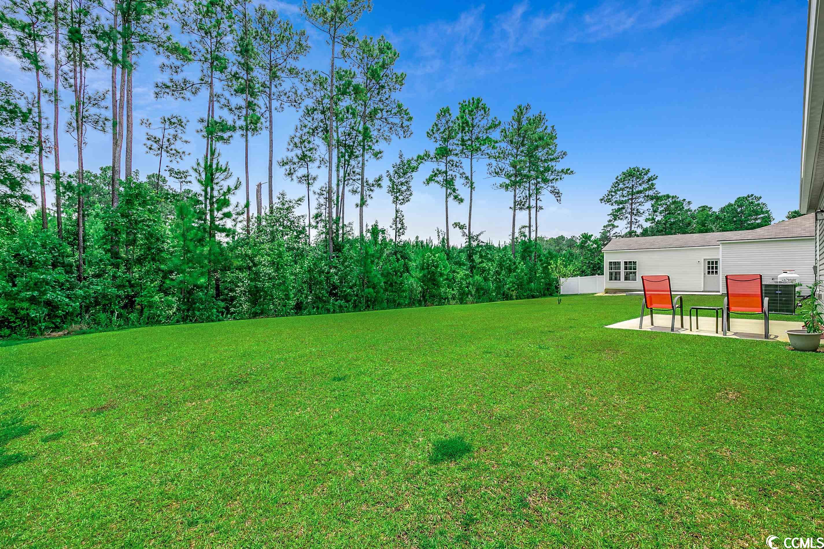 487 Carrick Loop Longs, SC 29568 - Photo 21 of 29 Gallery Image 21