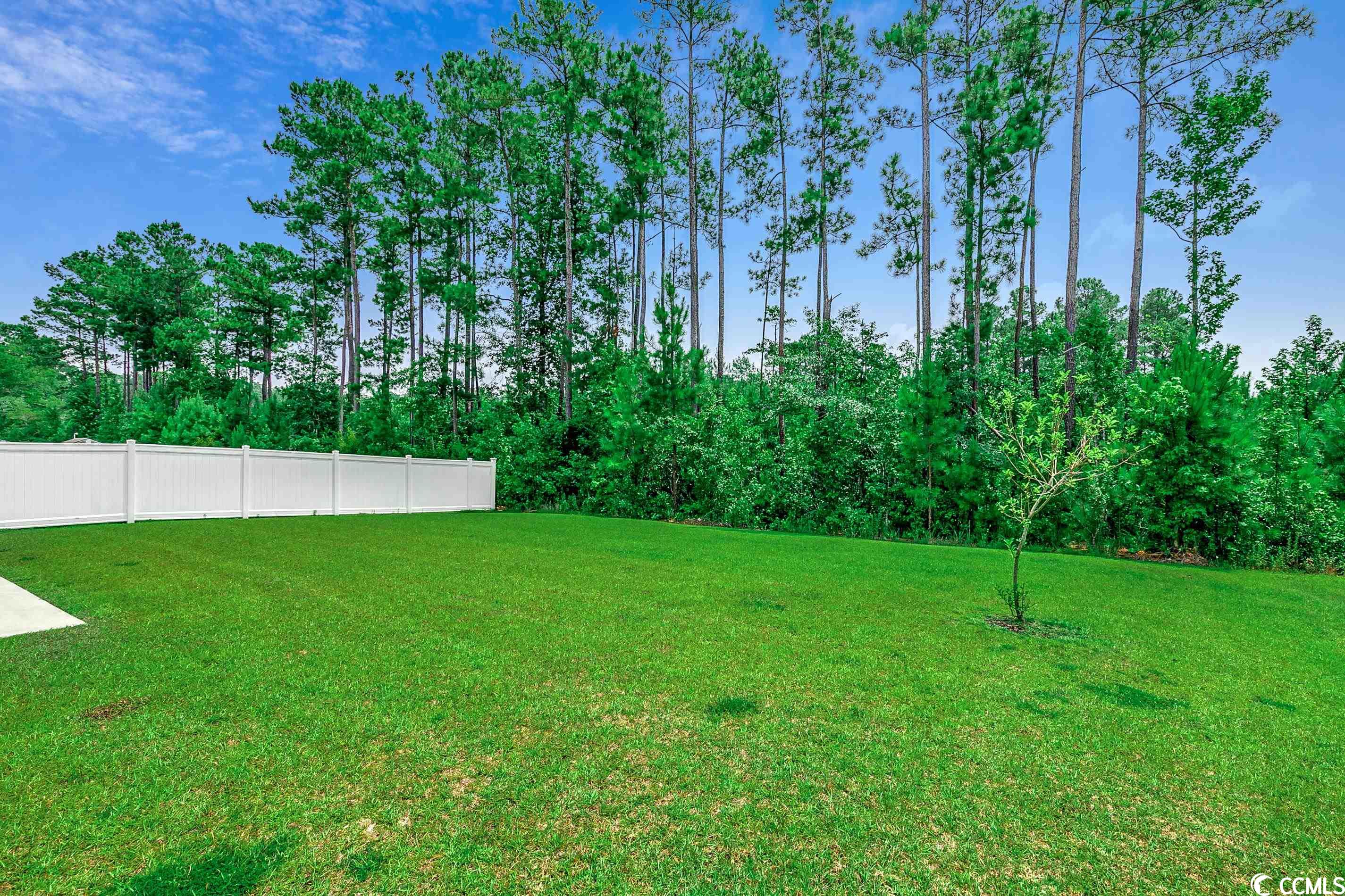 487 Carrick Loop Longs, SC 29568 - Photo 24 of 29 Gallery Image 24