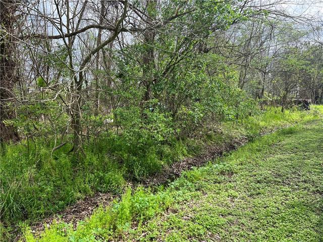 Lot 3 Barcelona Road Chalmette, LA 70043 - Photo 18 of 22