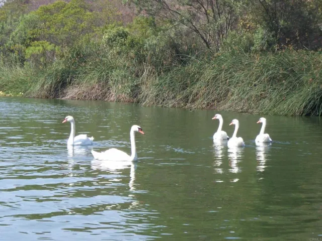 a view of a lake view