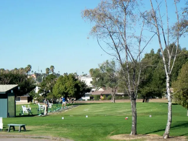 a view of a park with large trees