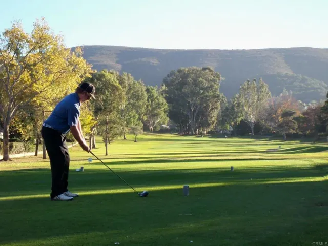 a view of swimming pool with a yard and a large tree