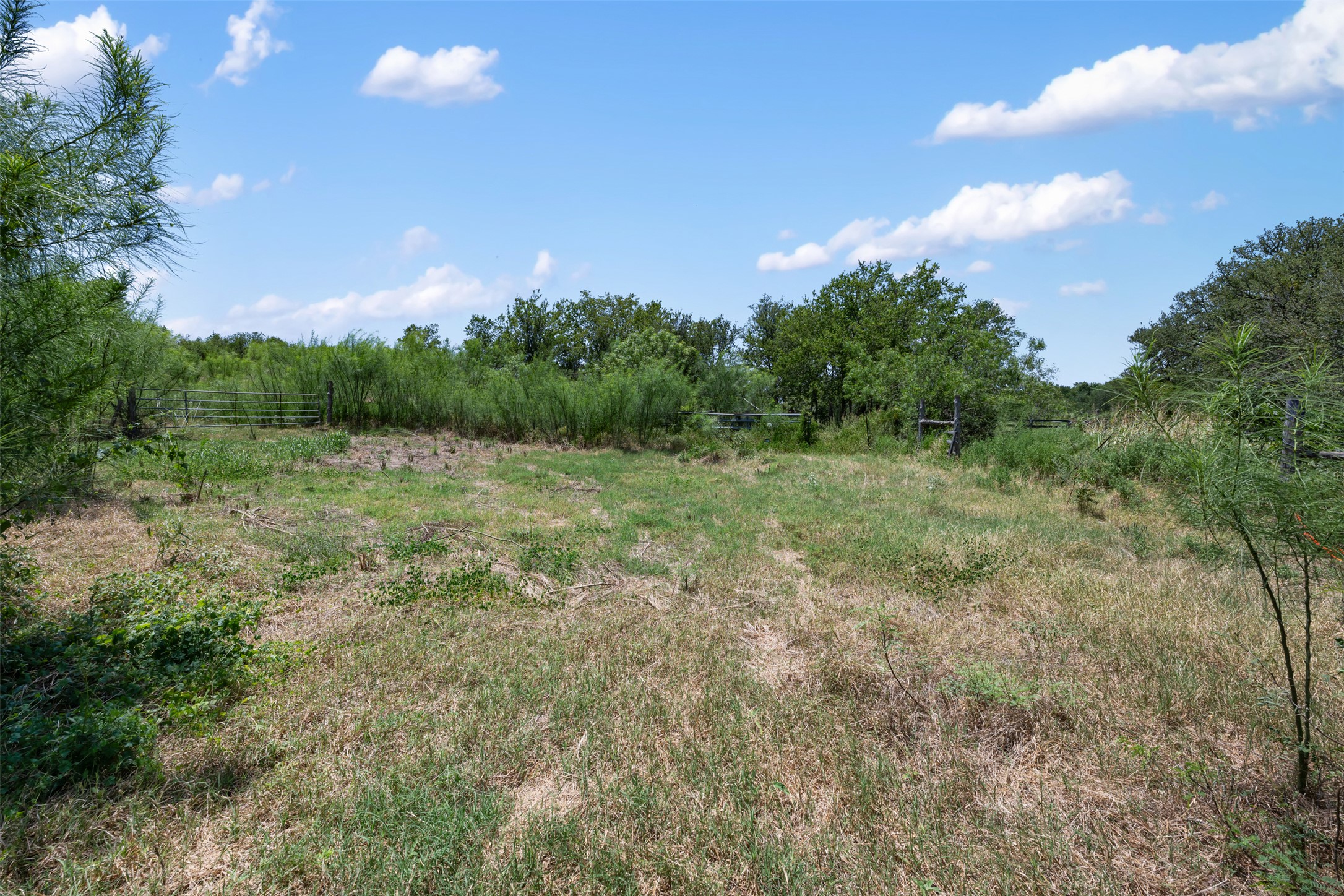 18101 Albert Voelker Road Elgin, TX 78621 - Photo 9 of 33 Cleared area of lot