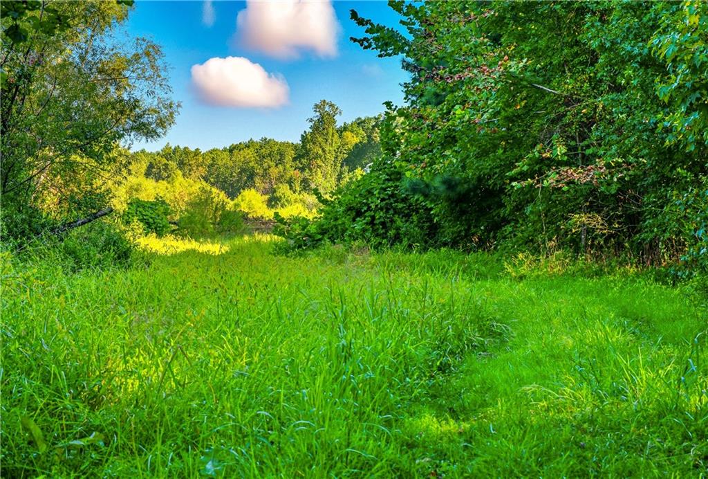 221 McAllister Road Cornelia, GA 30531 - Photo 11 of 58 a view of a yard