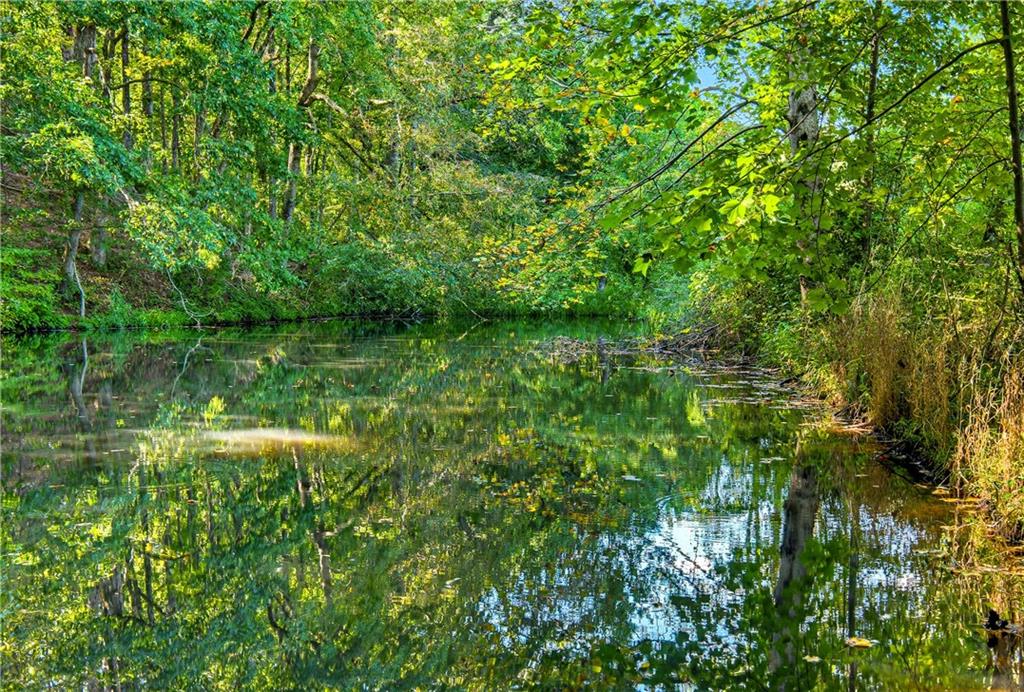 221 McAllister Road Cornelia, GA 30531 - Photo 5 of 58 a backyard of a house with lots of green space and lake view