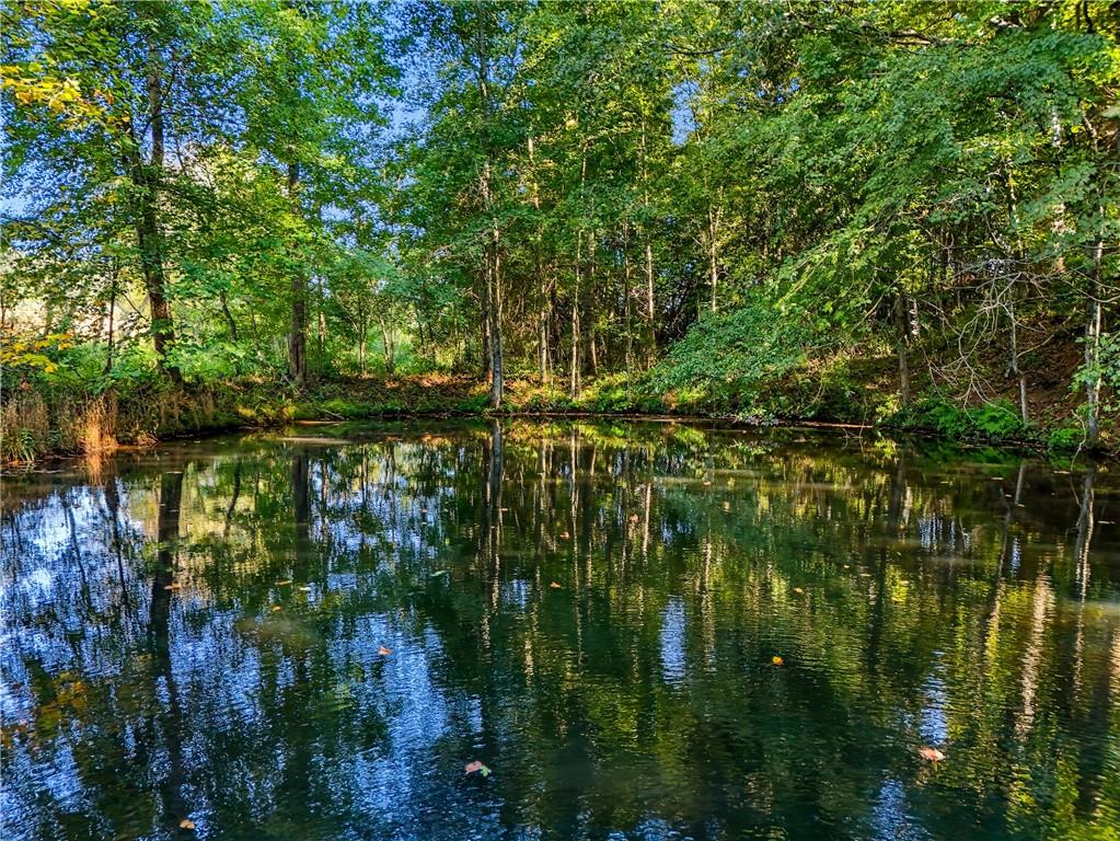 221 McAllister Road Cornelia, GA 30531 - Photo 55 of 58 a view of lake