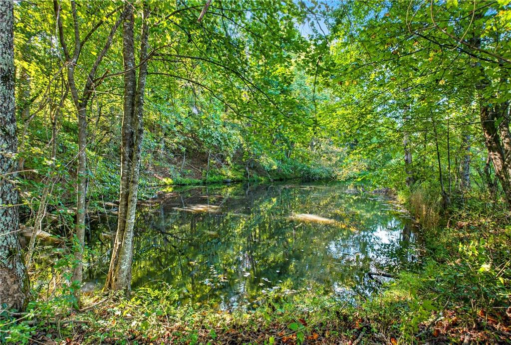 221 McAllister Road Cornelia, GA 30531 - Photo 7 of 58 a view of a lush green forest