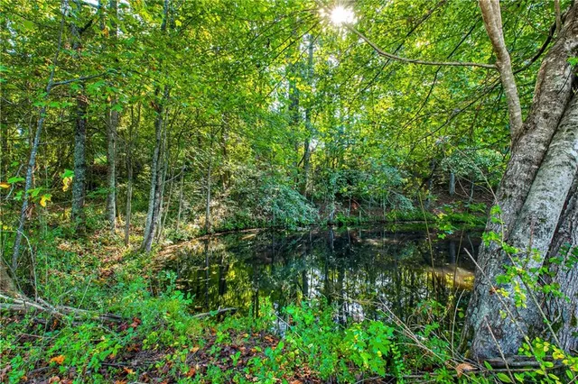 a view of a lake with a tree