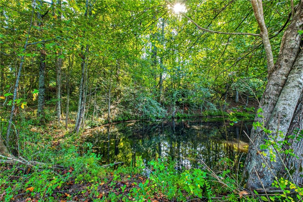 221 McAllister Road Cornelia, GA 30531 - Photo 8 of 58 a view of a forest