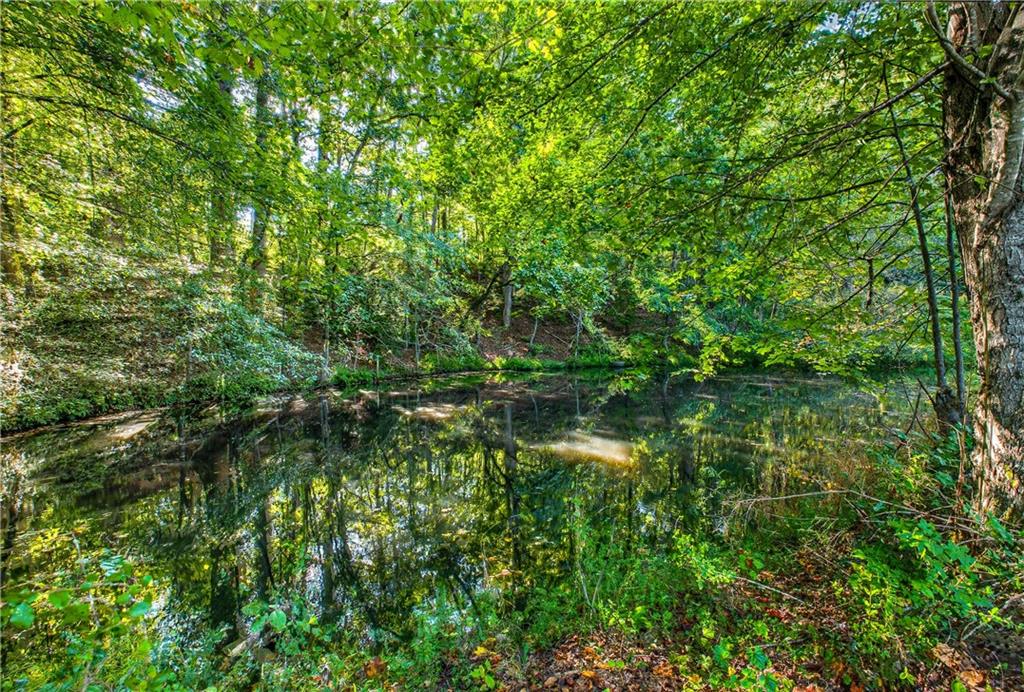 221 McAllister Road Cornelia, GA 30531 - Photo 9 of 58 a backyard of a house with lots of green space and chair