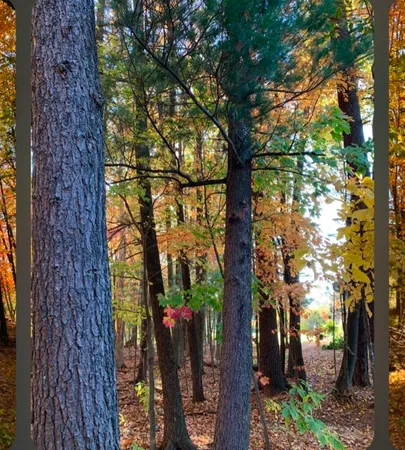 $379,900 | N423 Sandhill Court, Fremont, WI 54940