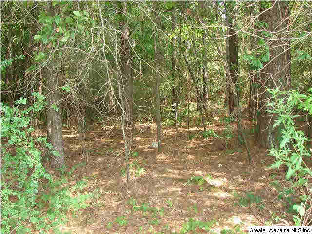 9147 Lock 17 Road Adger, AL 35006 - Photo 2 of 3