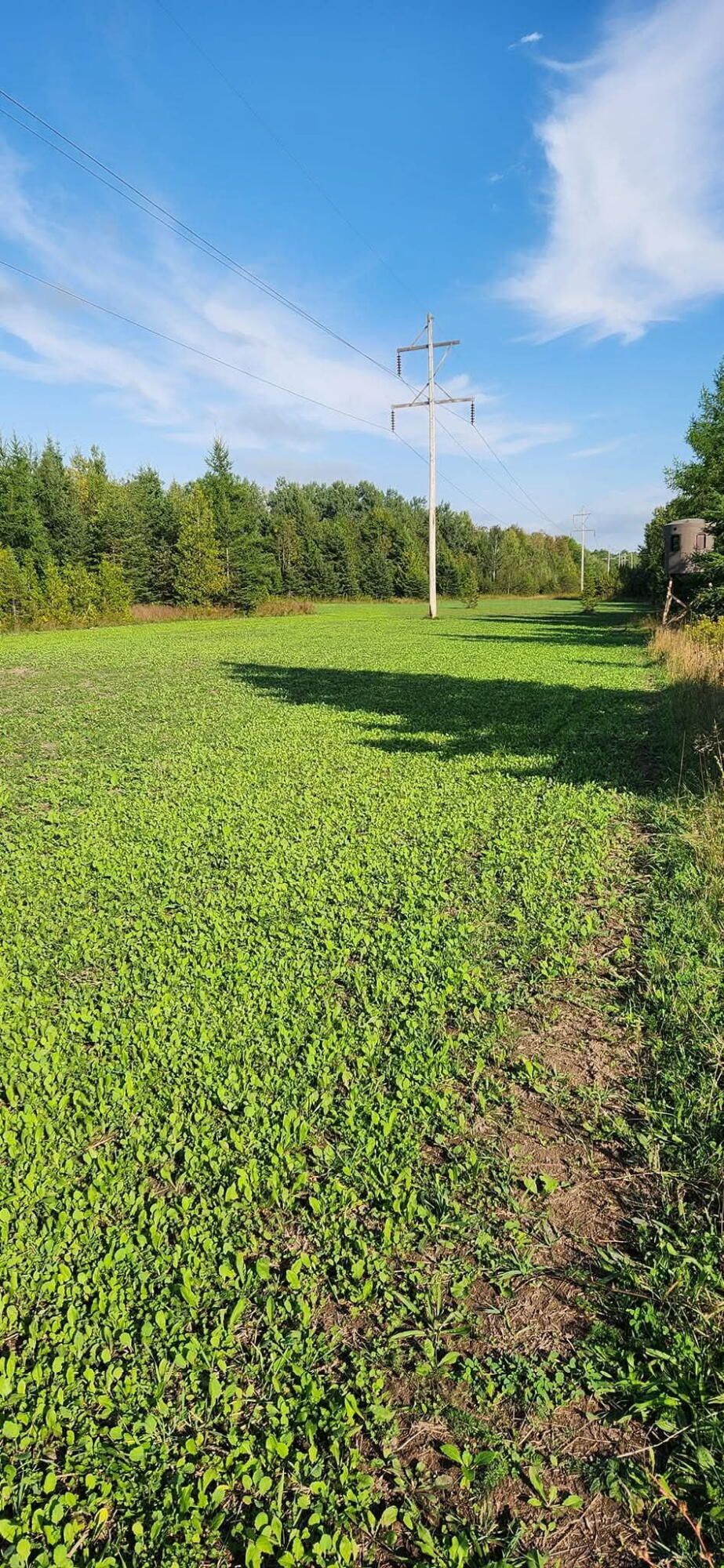 9613 Ross Road Cheboygan, MI 49721 - Photo 25 of 36 image00001