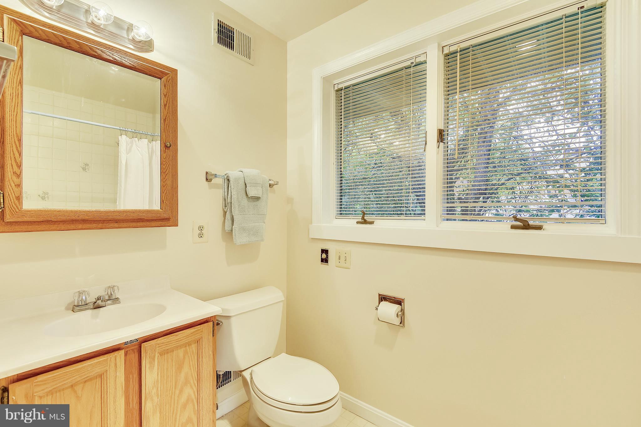 10226 Parkman Road Silver Spring, MD 20903 - Photo 16 of 30 Master bath with jetted tub/shower.