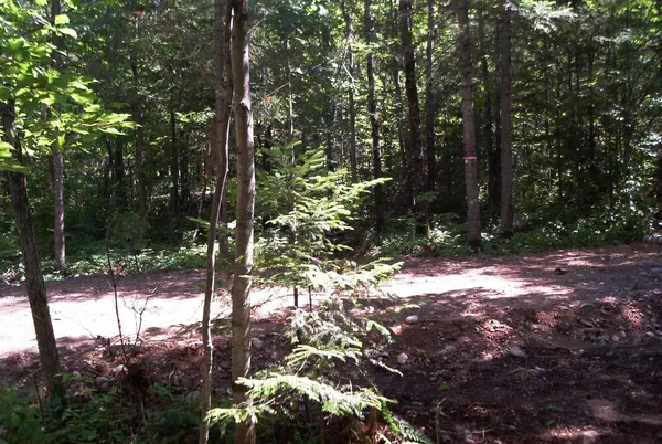 $54,900 | W8804 Timber Trail, Ladysmith, WI 54848