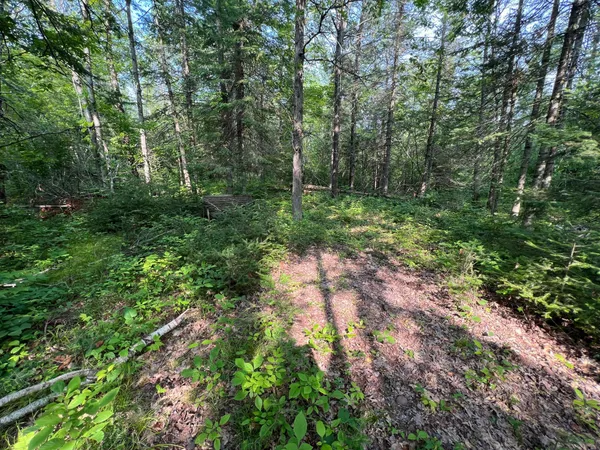 $54,900 | W8804 Timber Trail, Ladysmith, WI 54848