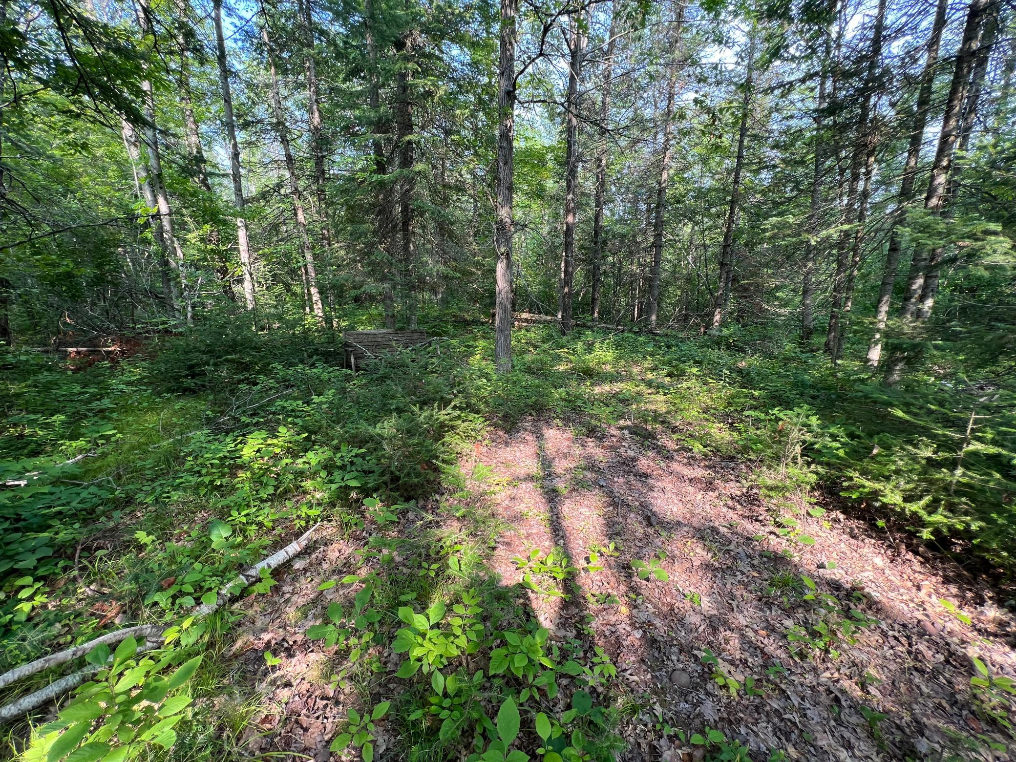 W8804 Timber Trail Ladysmith, WI 54848 - Photo 5 of 10