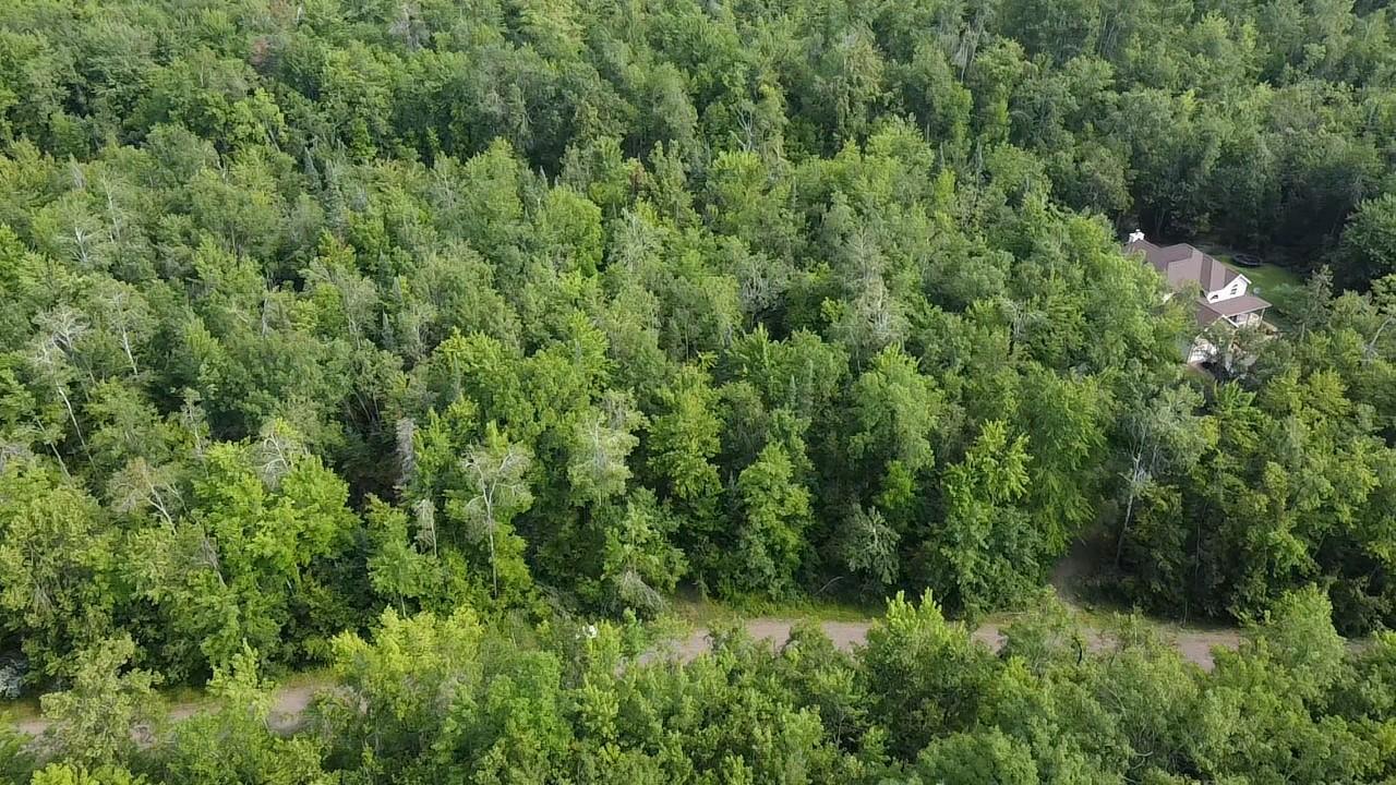 W8804 Timber Trail Ladysmith, WI 54848 - Photo 8 of 10