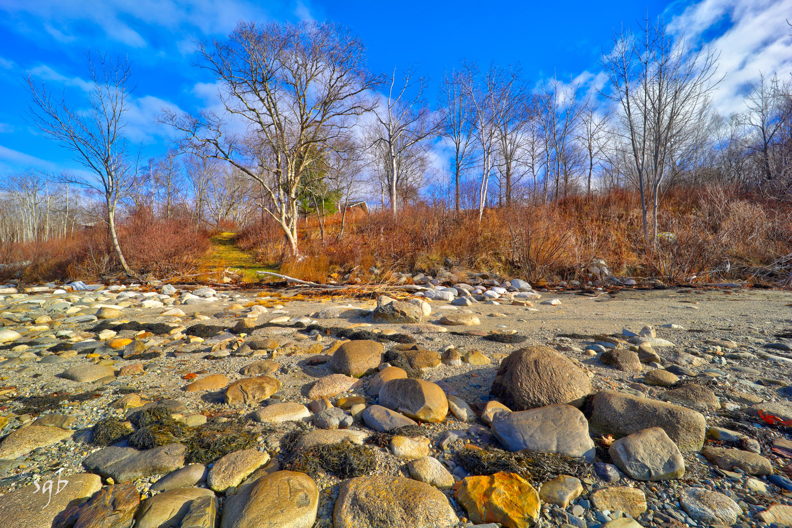 1596 Castine Road Penobscot, ME 04476 - Photo 47 of 51 1596 Castine Road Low Tide 4