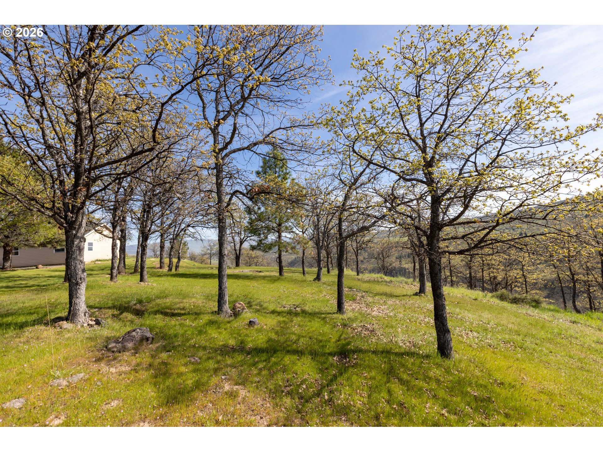 4377 Browns Creek Road The Dalles, OR 97058 - Photo 29 of 38 a green field with lots of trees