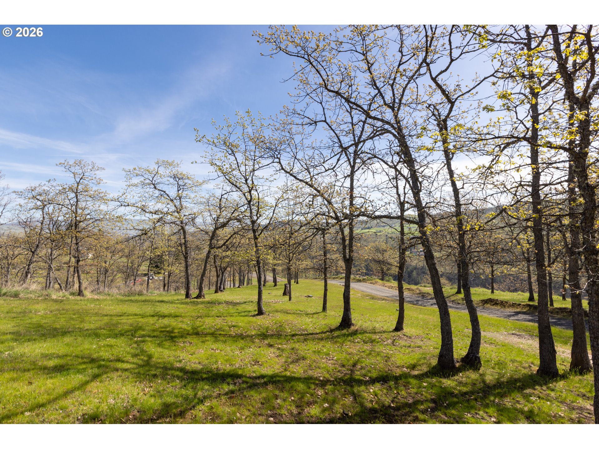 4377 Browns Creek Road The Dalles, OR 97058 - Photo 30 of 38 a view of yard with trees