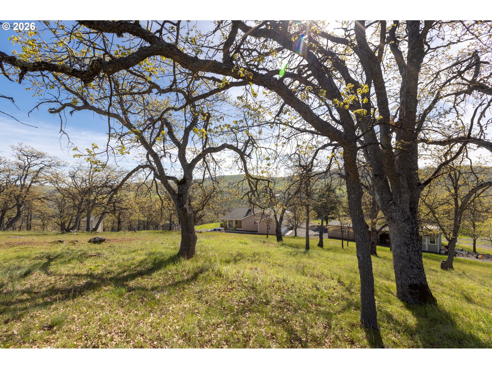4377 Browns Creek Road The Dalles, OR 97058 - Photo 31 of 38 a view of outdoor space with trees