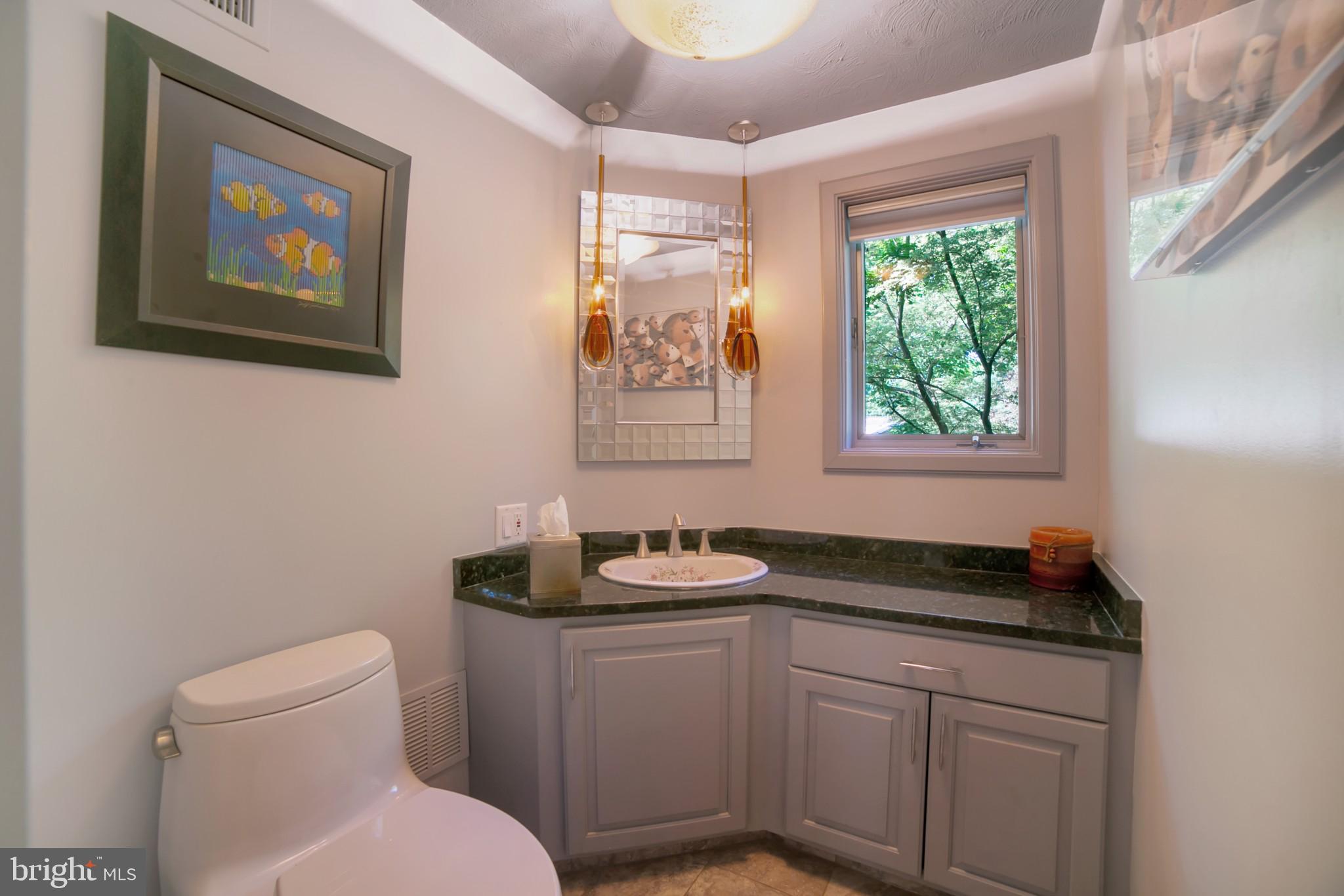 1661 Graham Road Jenkintown, PA 19046 - Photo 11 of 40 Powder room