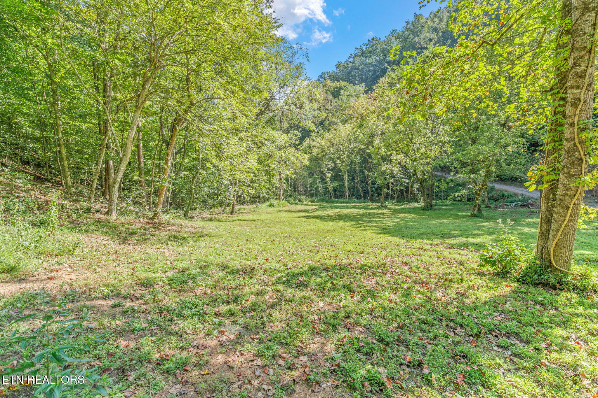 1035 Porterfield Gap Road Seymour, TN 37865 - Photo 39 of 57 91-web-or-mls-1035 Porterfield Gap Road-