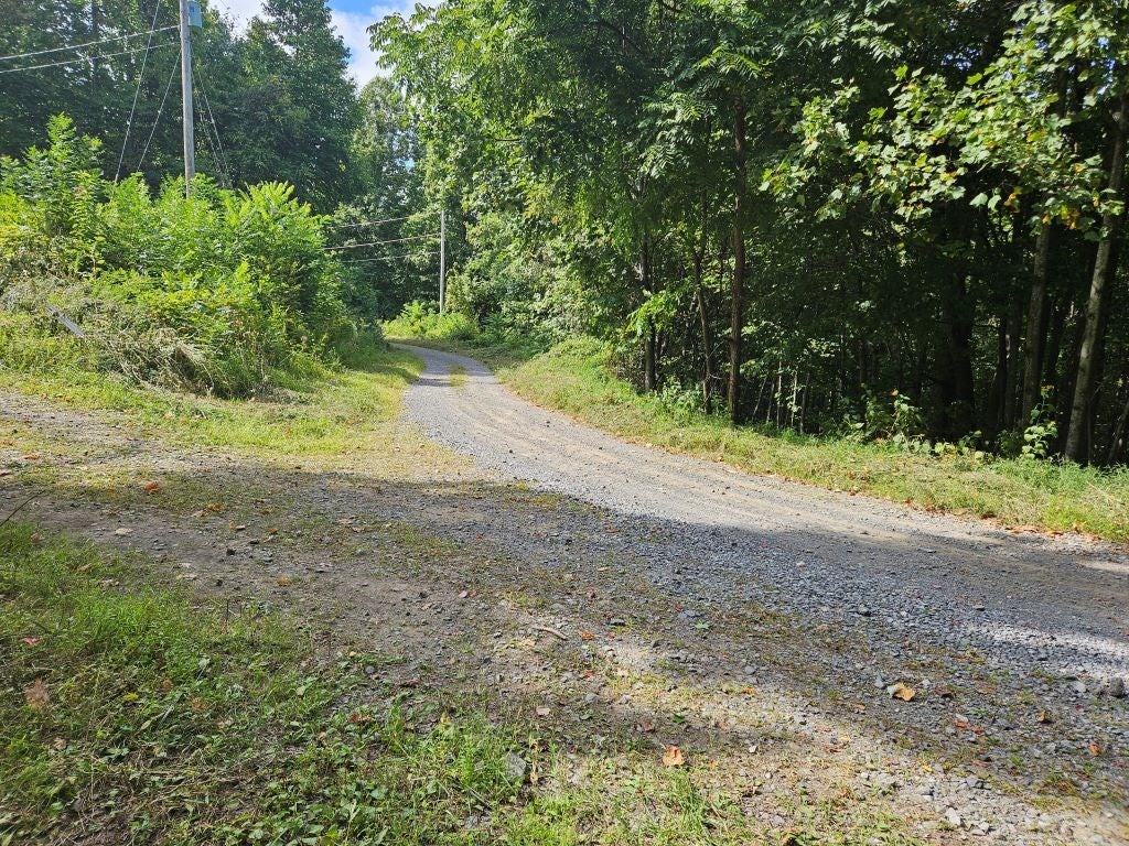 13.51-ac Cartwright Road Rowe, VA 24646 - Photo 25 of 25 Gallery Image 25
