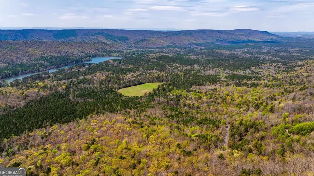 a view of a lush green field with mountains in the background