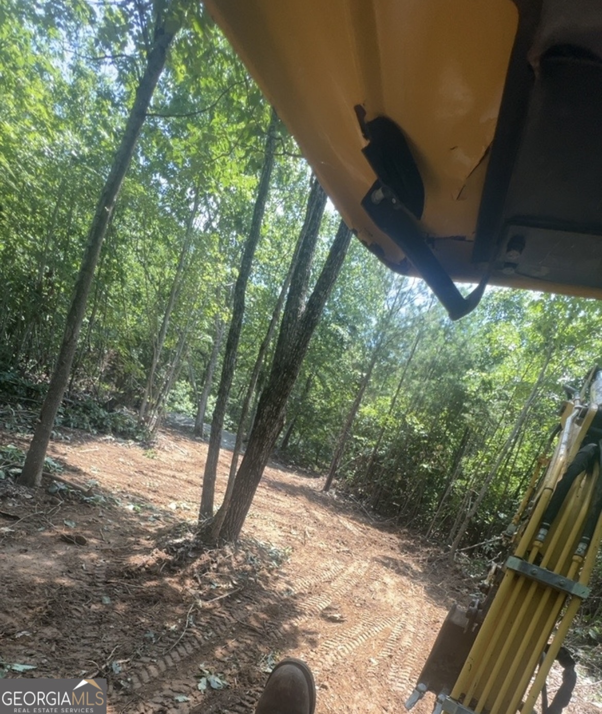 450 Lake Marvin Road Northeast Armuchee, GA 30105 - Photo 6 of 8 a view of a yard with plants and a large tree