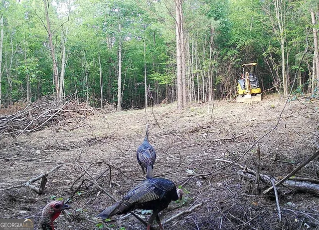 a view of a backyard with fountain