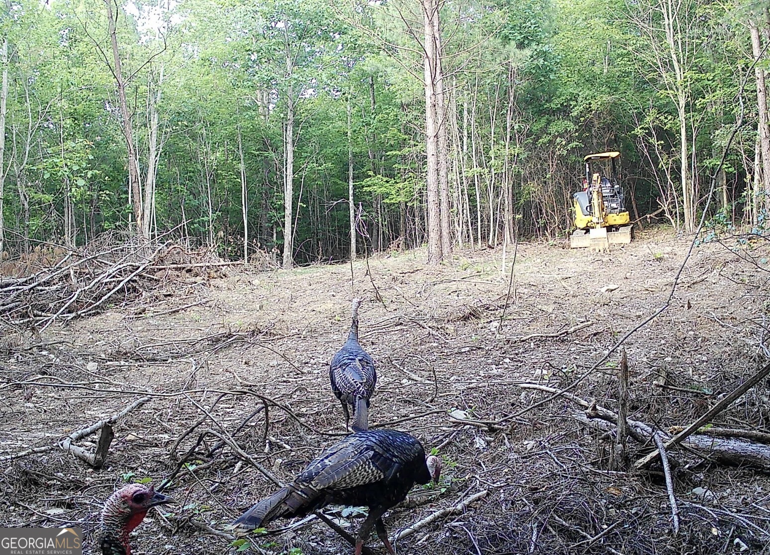 450 Lake Marvin Road Northeast Armuchee, GA 30105 - Photo 7 of 8 a view of a backyard with fountain