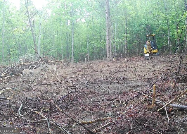 a view of outdoor space with trees