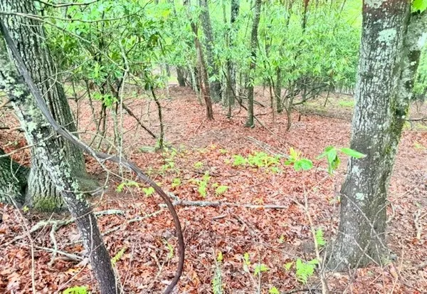 $20,900 | Lot 61 Sams Drive, Fleetwood, NC 28626