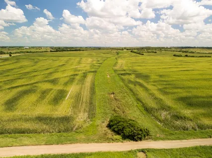a view of an ocean from a yard