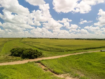 a view of an ocean and beach