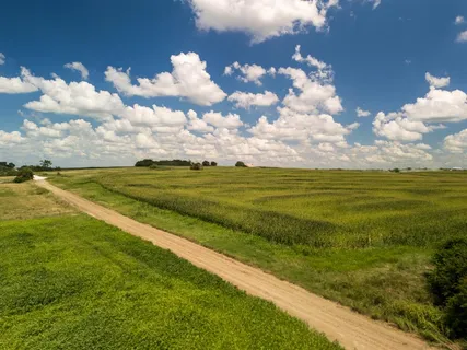 $140,000 | 3150 County Road 3150, Penelope, TX 76676