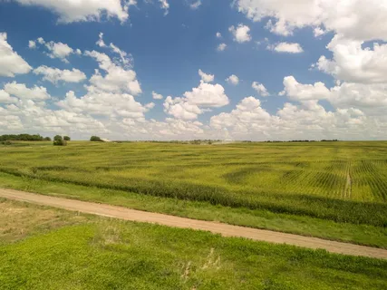 $140,000 | 3150 County Road 3150, Penelope, TX 76676